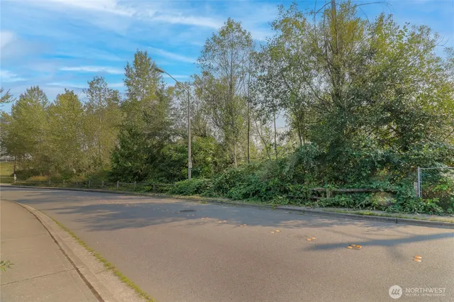 a view of a field with trees in the background