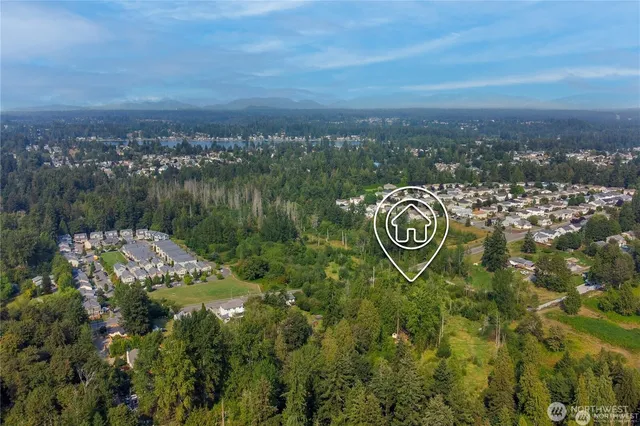 a view of a lake in middle of forest