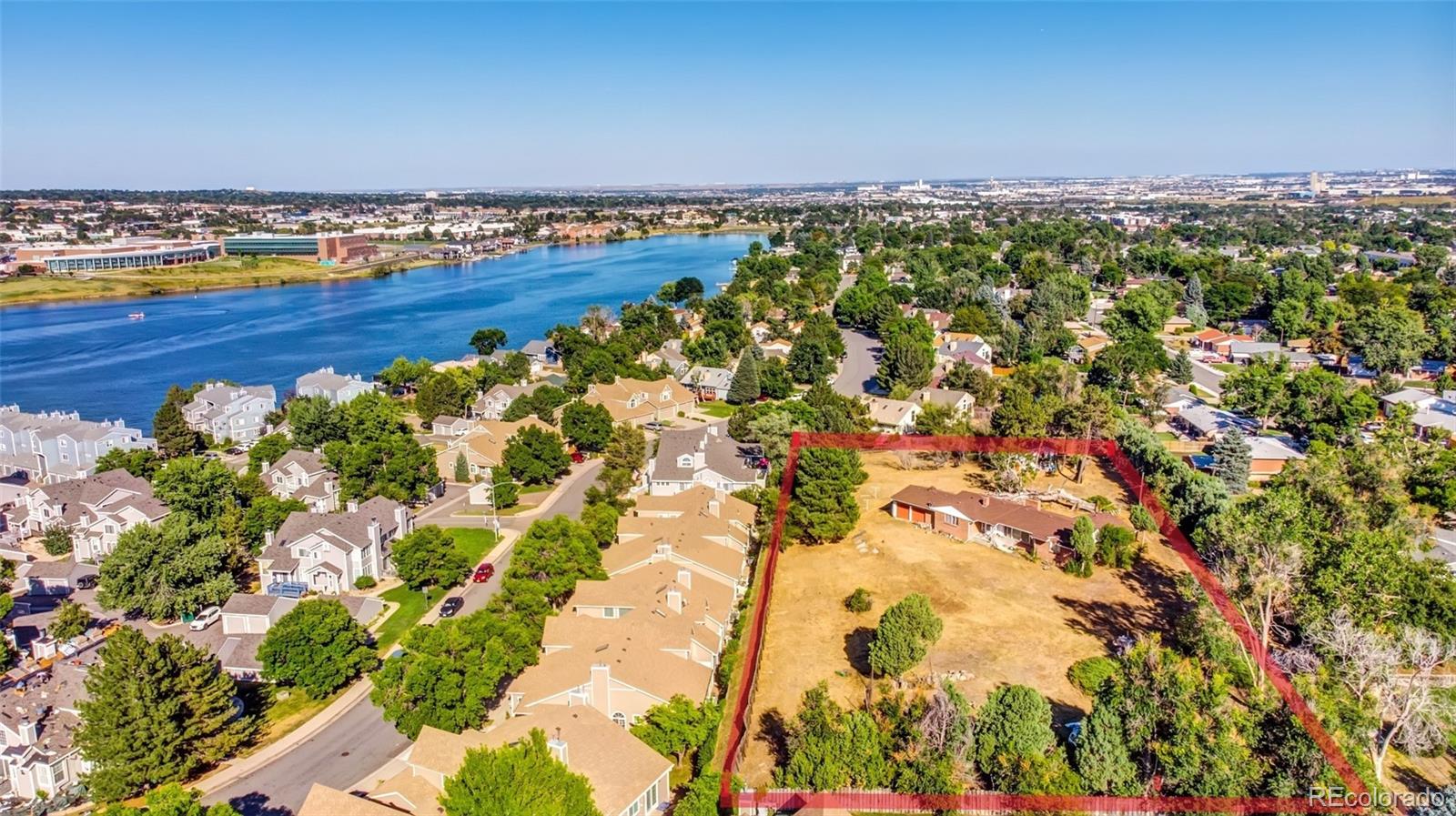 a view of a large body of water with lots of bushes