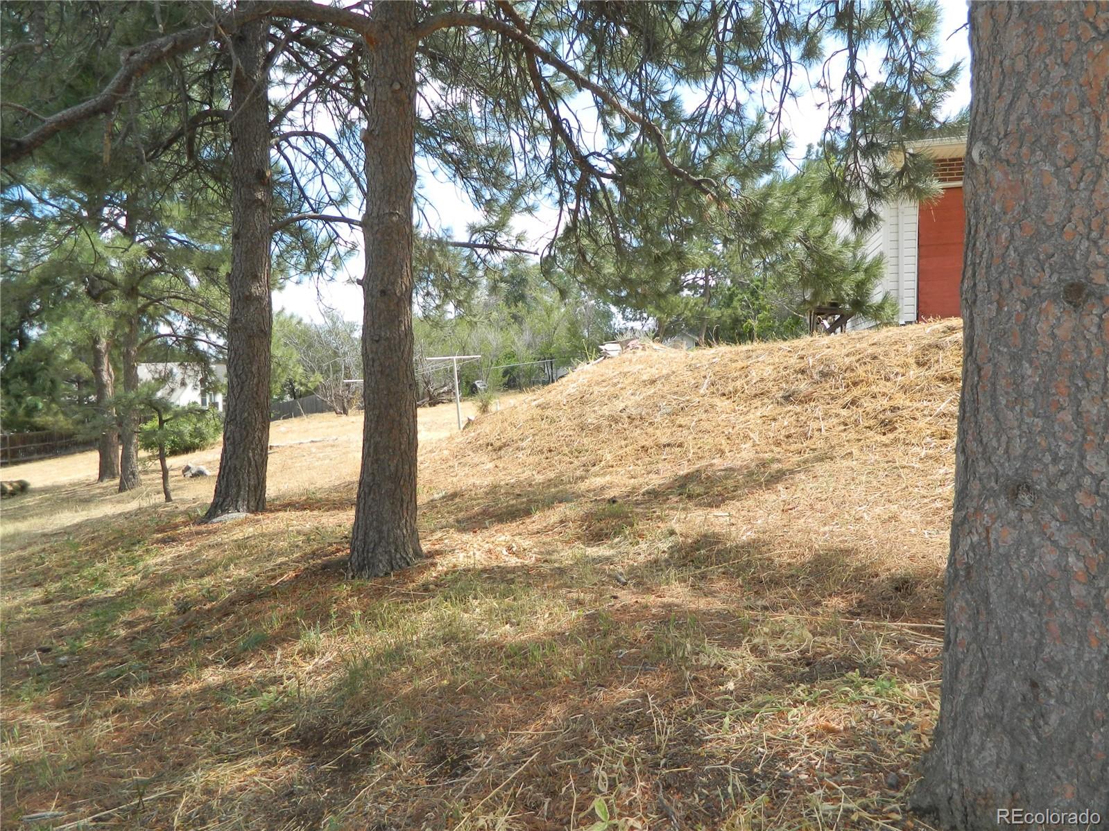 6766 Zenobia Loop Arvada, CO 80030 - Photo 16 of 38 a view of a yard with trees