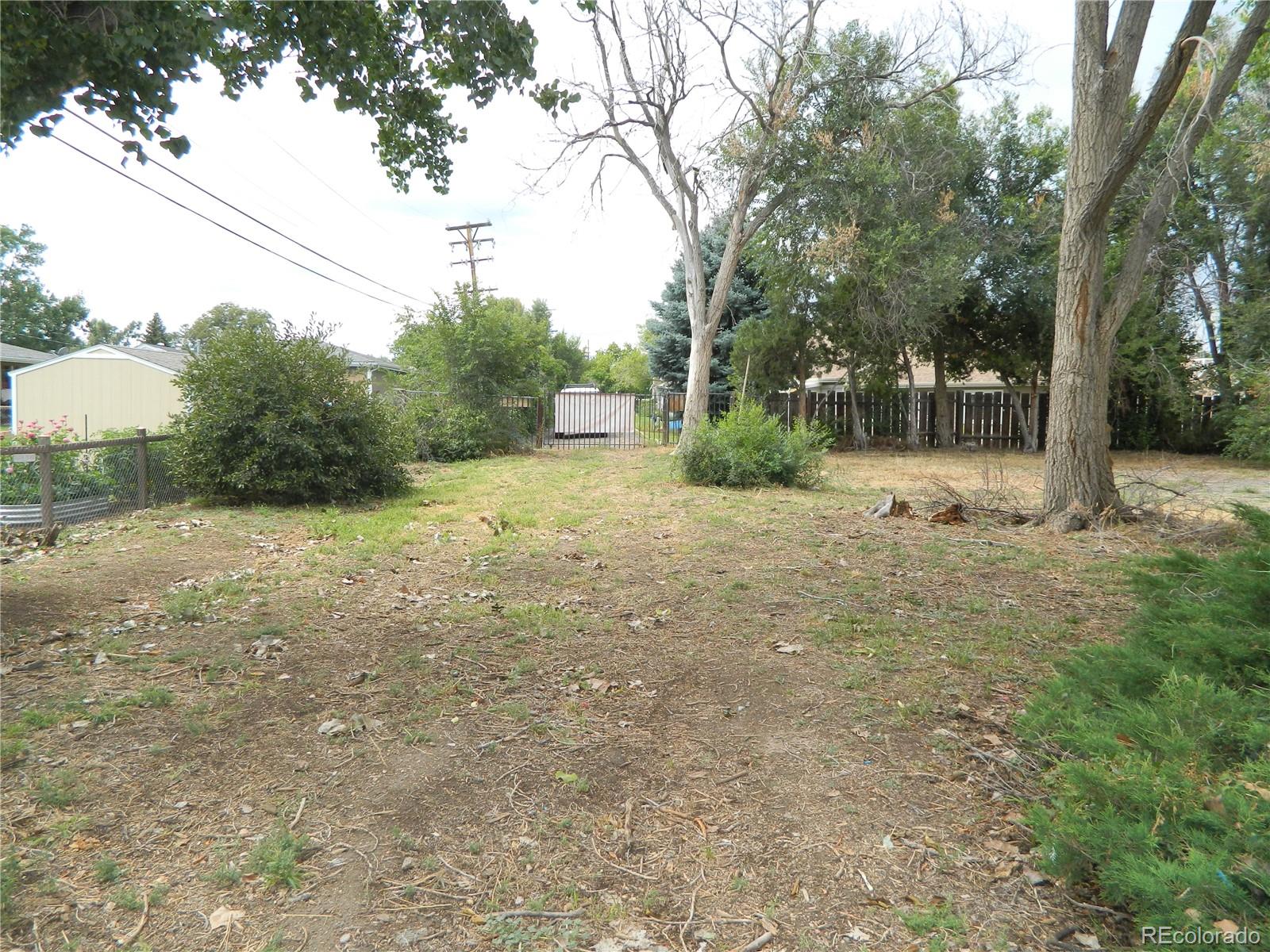 6766 Zenobia Loop Arvada, CO 80030 - Photo 19 of 38 a view of a yard with trees