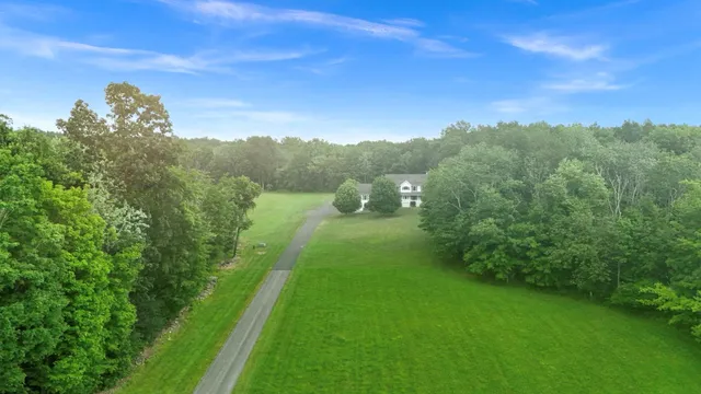 a view of a city with lush green forest