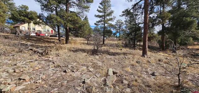 a view of road with trees