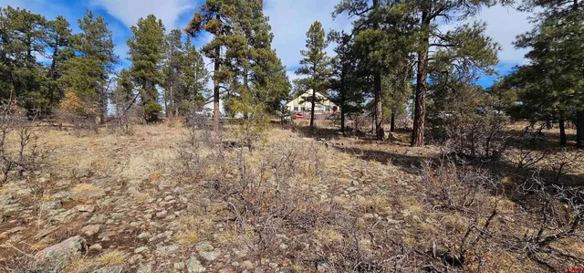 a view of covered with trees