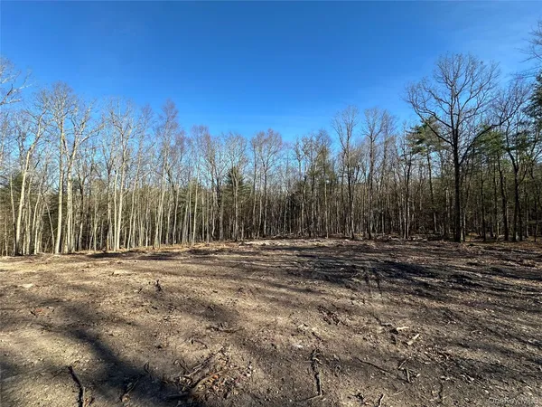 $79,999 | Lot 1.6 Foster (south) Trail, Narrowsburg, NY 12764