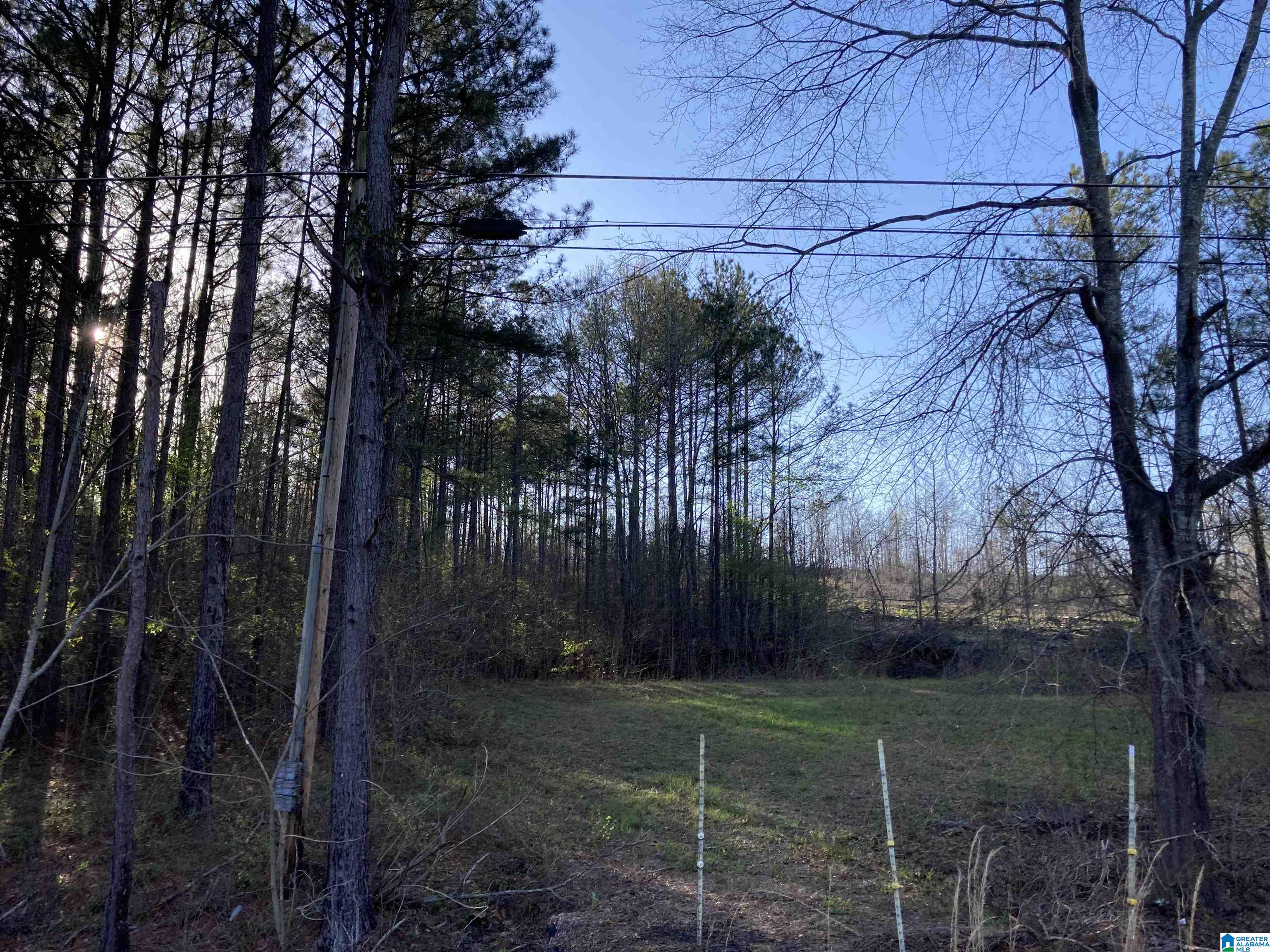 0 Jackson Trace Road, Unit 4 1 Talladega, AL 35160 - Photo 25 of 27