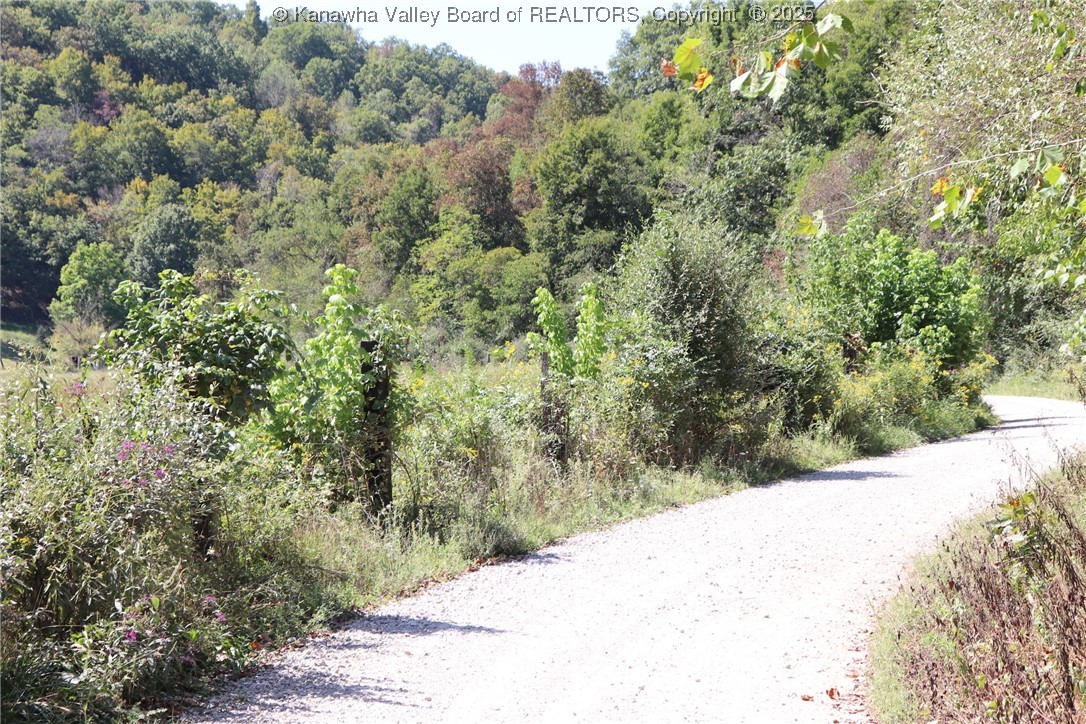 0 16 Mile Road Southside, WV 25187 - Photo 16 of 27 Gallery Image 16
