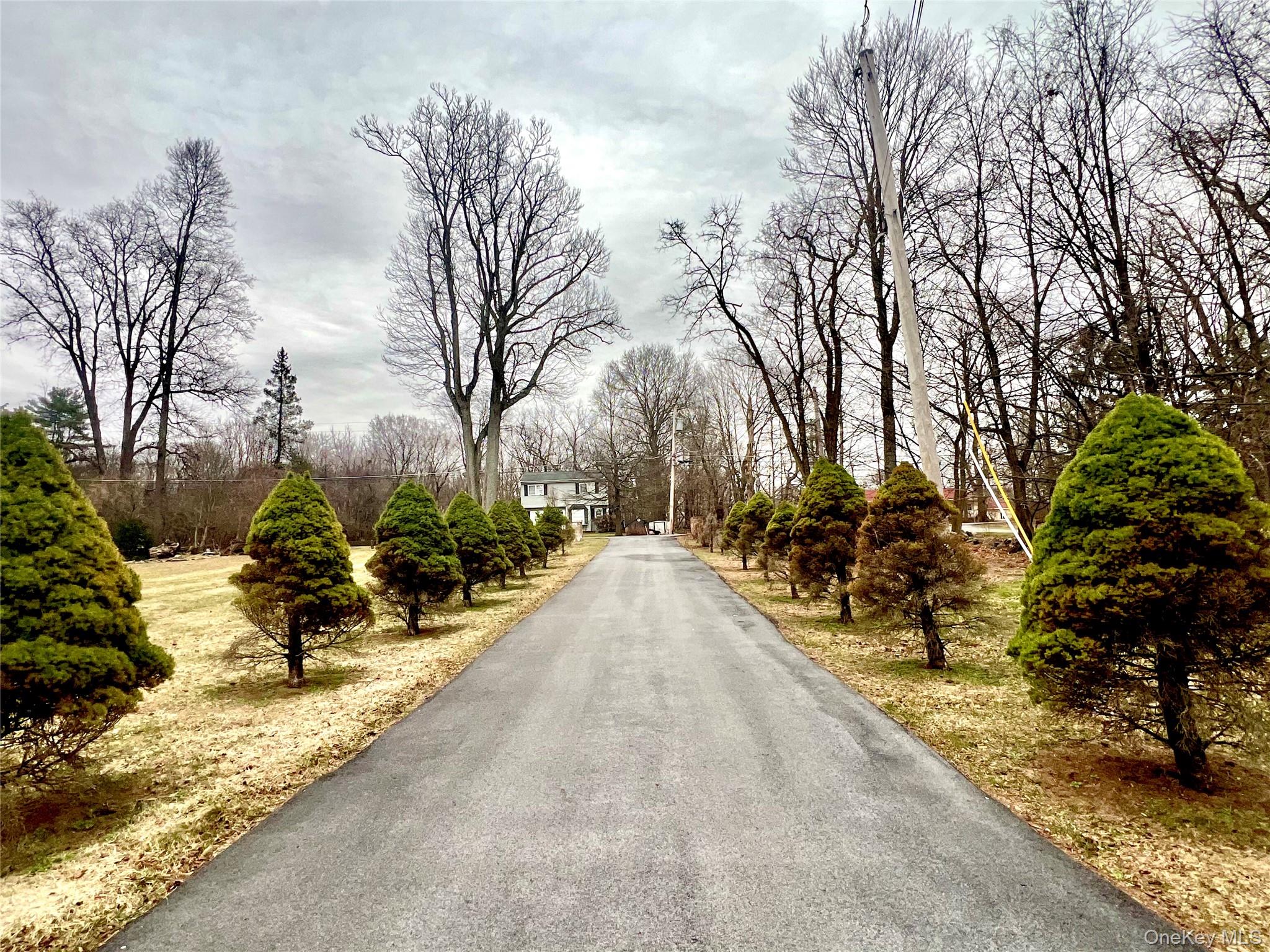 225 Brown Road Middletown, NY 10941 - Photo 8 of 9
