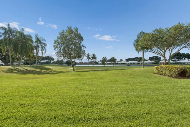 a view of a large body of water with lots of palm trees