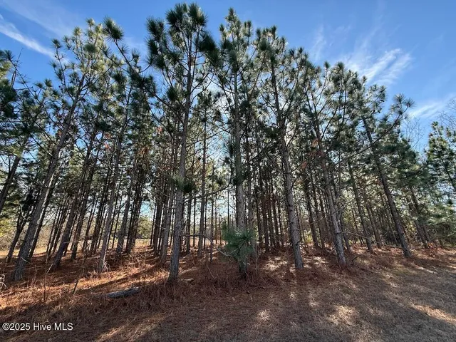 $799,900 | 3572 Highway 42, Tarboro, NC 27886