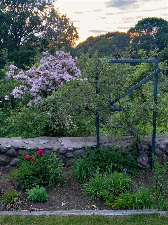 62 Longview Drive Marblehead, MA 01945 - Photo 40 of 42 a view of yard with tree in front of it
