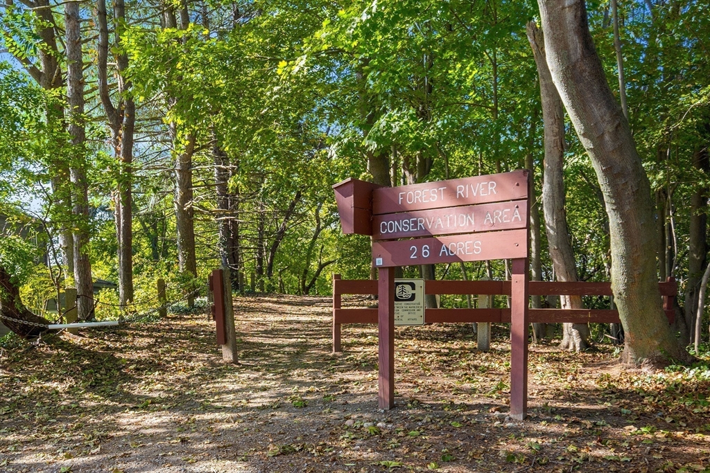 62 Longview Drive Marblehead, MA 01945 - Photo 42 of 42 a backyard of a house with lots of green space