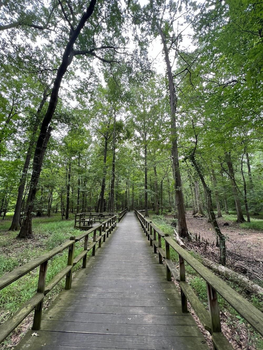 639 Critz Cove Collierville, TN 38017 - Photo 38 of 40 a view of a street with a large trees
