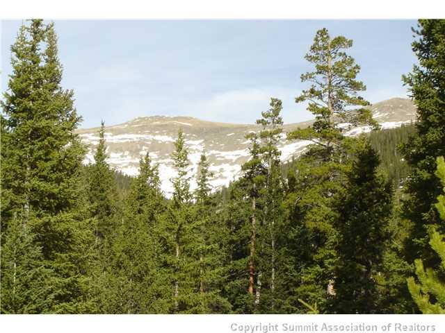 194 Rena Road Breckenridge, CO 80424 - Photo 2 of 7 Gallery Image 2