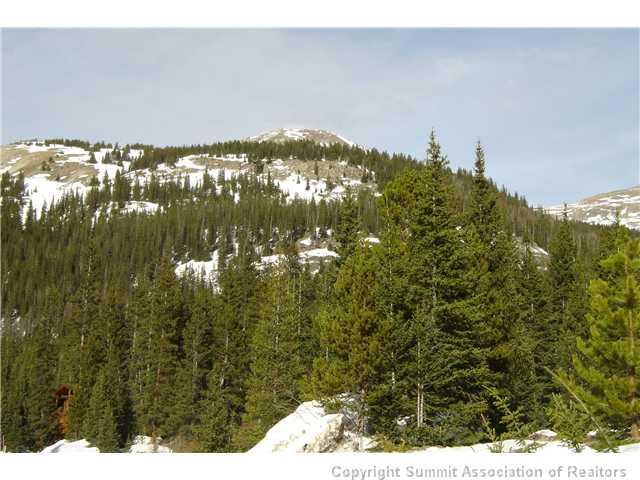 194 Rena Road Breckenridge, CO 80424 - Photo 3 of 7 Gallery Image 3