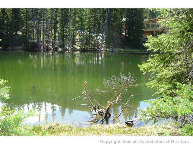 194 Rena Road Breckenridge, CO 80424 - Photo 7 of 7 Gallery Image 7
