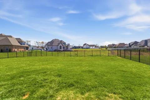 a view of a green field