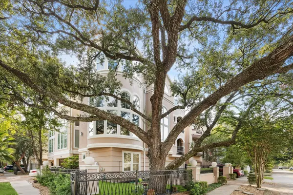 a view of a large trees in front of a building