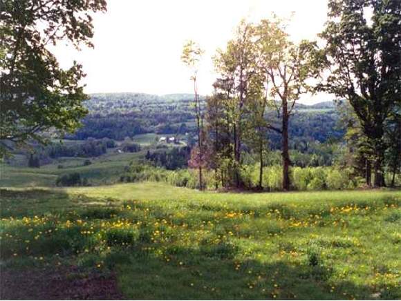 Lot2 Maple Hill Road Barton, VT 05822 - Photo 1 of 3