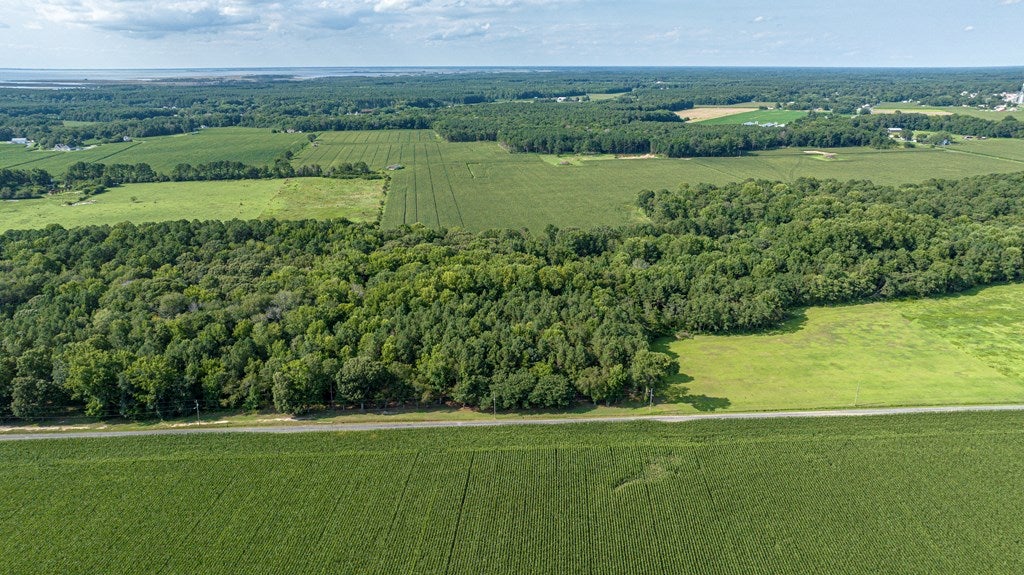 1-6 Hurst Store Road, Unit 16 Greenbush, VA 23357 - Photo 36 of 44 Gallery Image 36