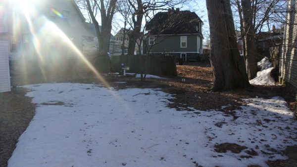 208 Whittenton Street Taunton, MA 02780 - Photo 14 of 15 a view of a yard with a tree