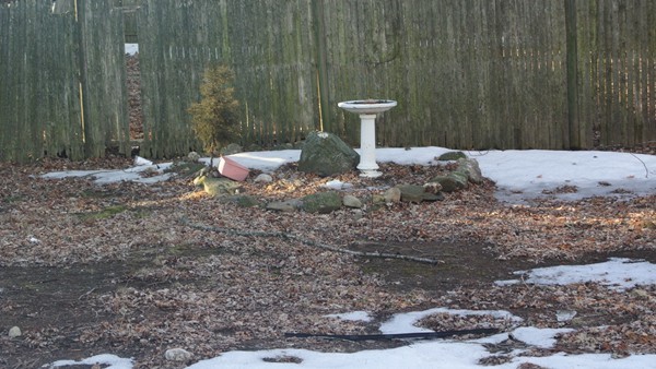 208 Whittenton Street Taunton, MA 02780 - Photo 15 of 15 a view of a backyard with a sink
