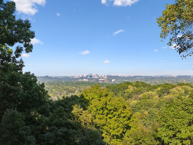 a view of a city with lush green forest