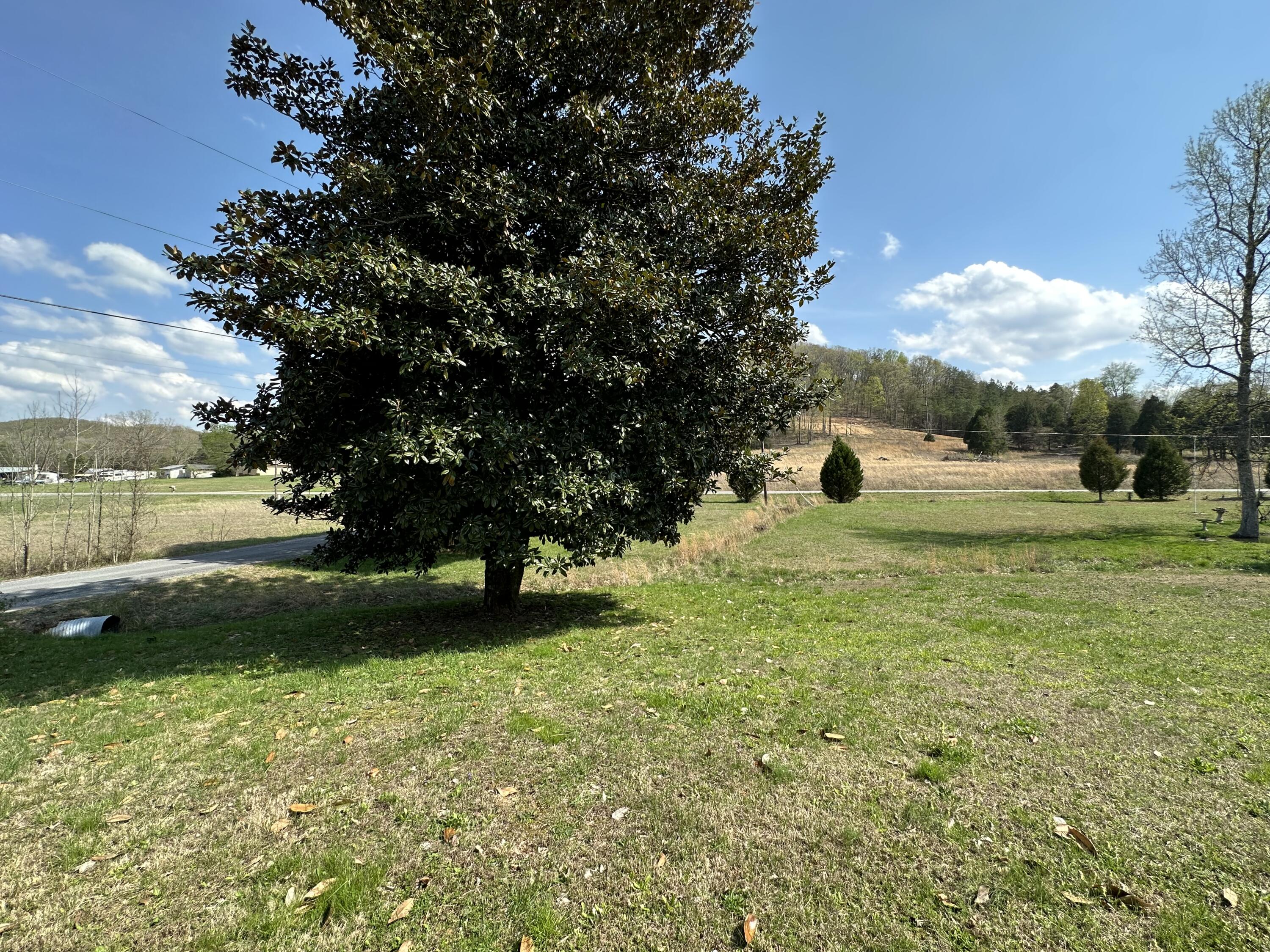 139 Creek Road Spring City, TN 37381 - Photo 3 of 8 IMG_0295