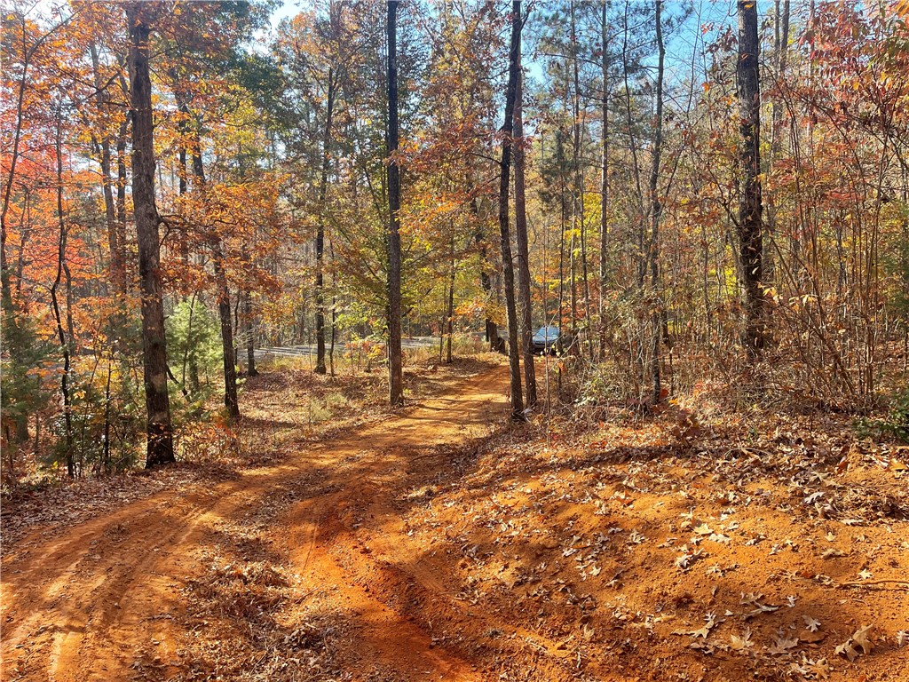 1 Shallow Ford Road Salem, SC 29676 - Photo 1 of 19 Gallery Image 1