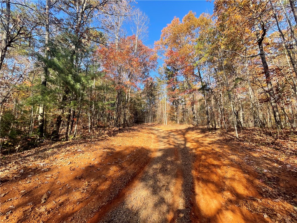 1 Shallow Ford Road Salem, SC 29676 - Photo 13 of 19 Gallery Image 13