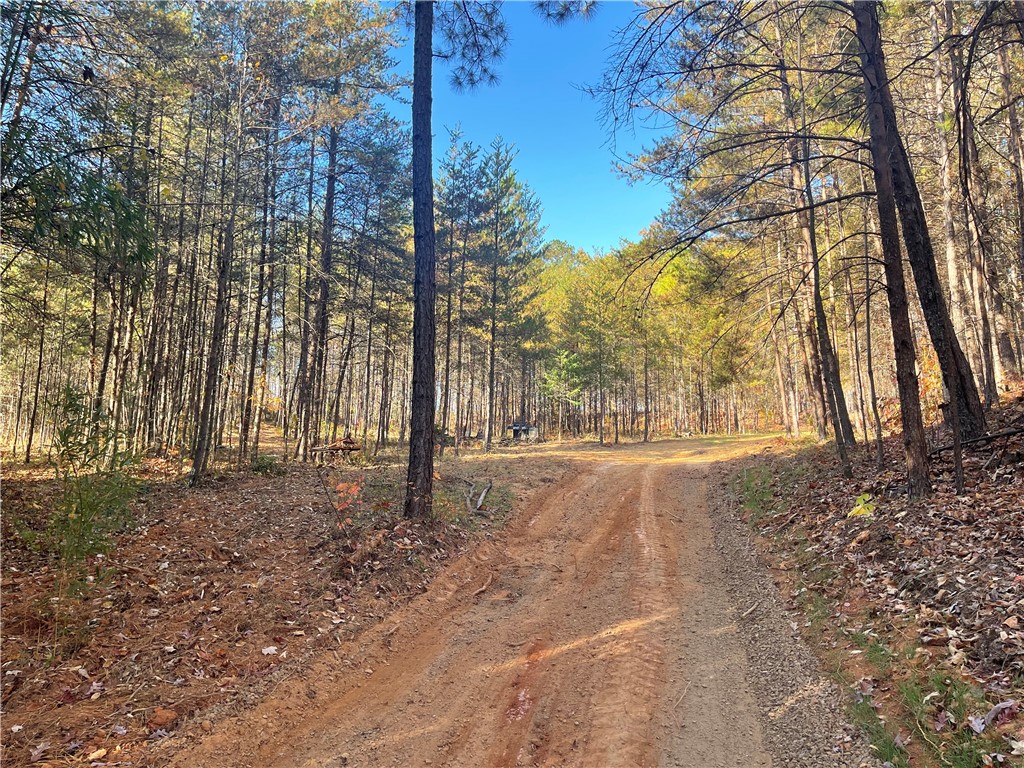 1 Shallow Ford Road Salem, SC 29676 - Photo 3 of 19 Gallery Image 3