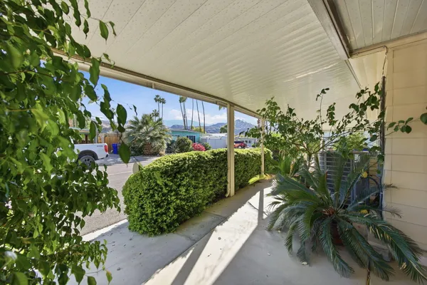 a potted plant sitting in front of a house