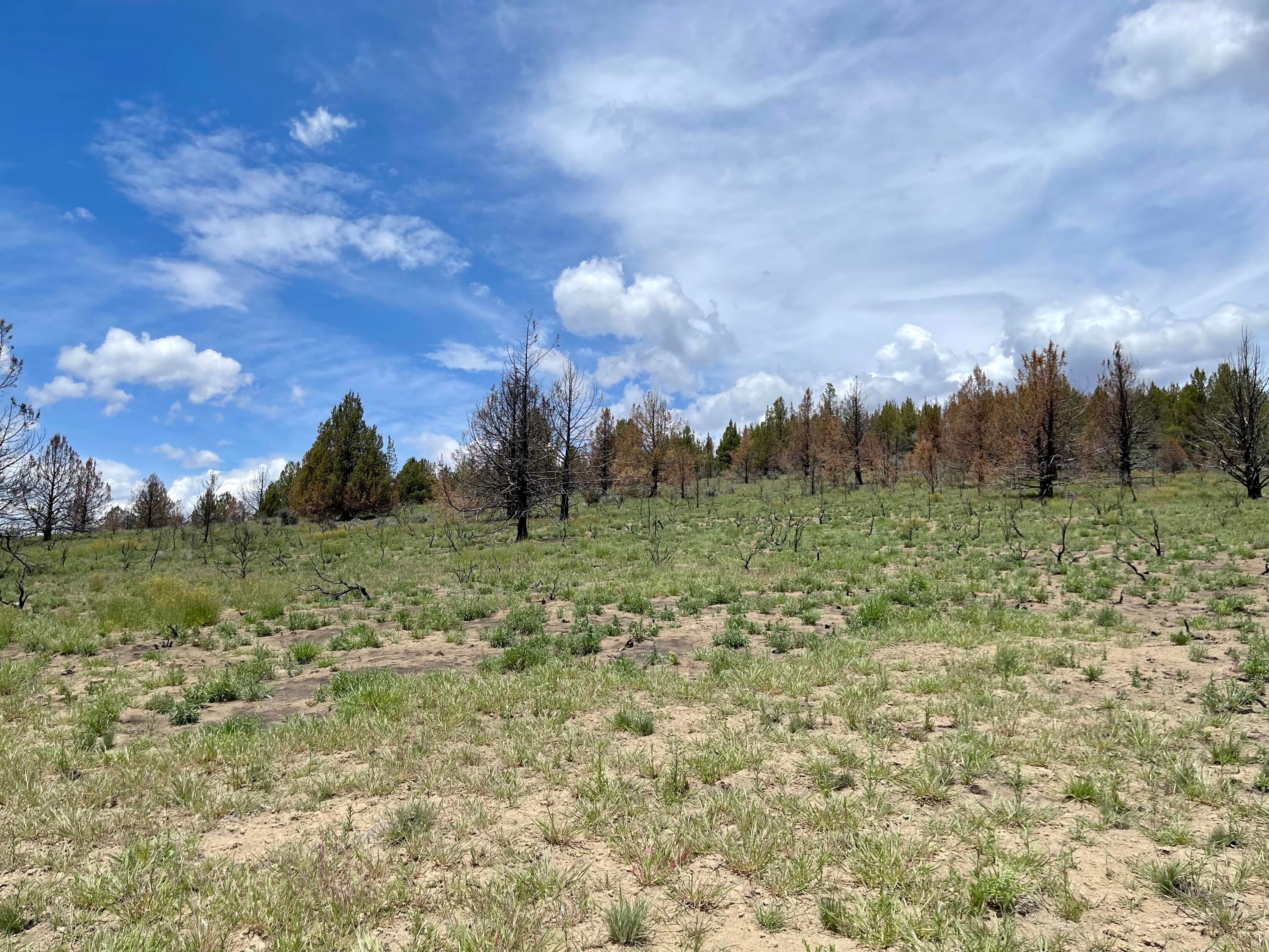 0 Godowa Springs Road, Unit 13 Beatty, OR 97621 - Photo 5 of 8 From Road