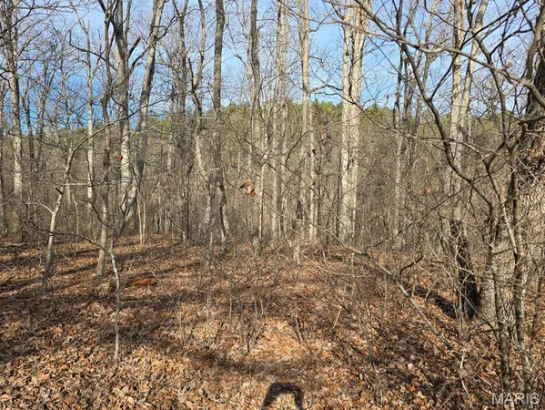 $599,900 | 0 West Airport Road, Houston, MO 65483