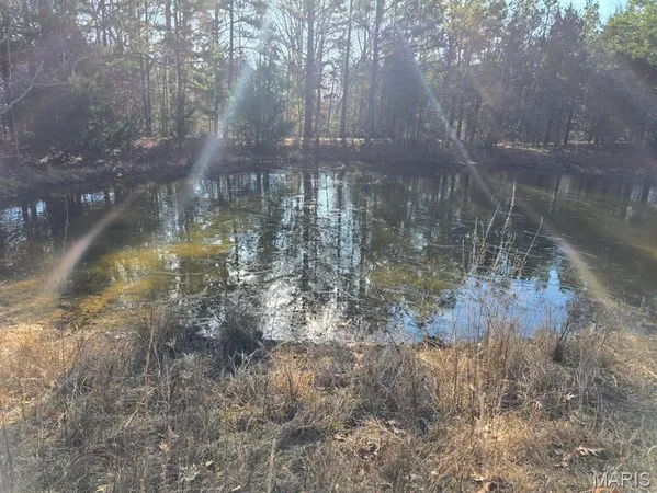 $599,900 | 0 West Airport Road, Houston, MO 65483