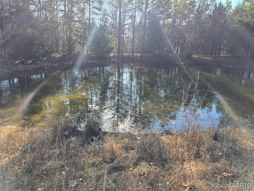 0 West Airport Road Houston, MO 65483 - Photo 12 of 29