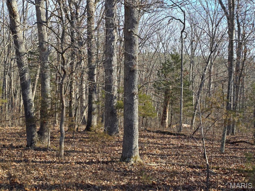 0 West Airport Road Houston, MO 65483 - Photo 13 of 29