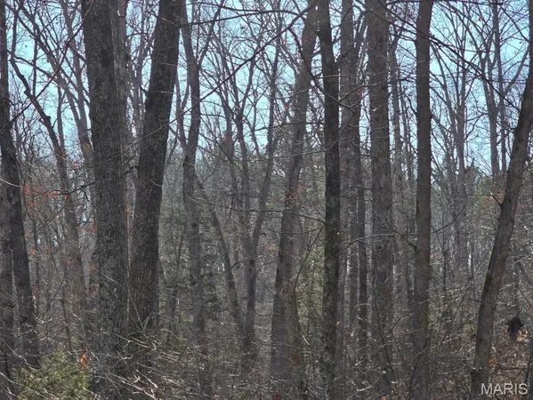 $599,900 | 0 West Airport Road, Houston, MO 65483