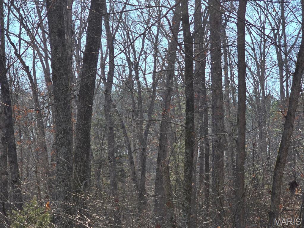 0 West Airport Road Houston, MO 65483 - Photo 14 of 29