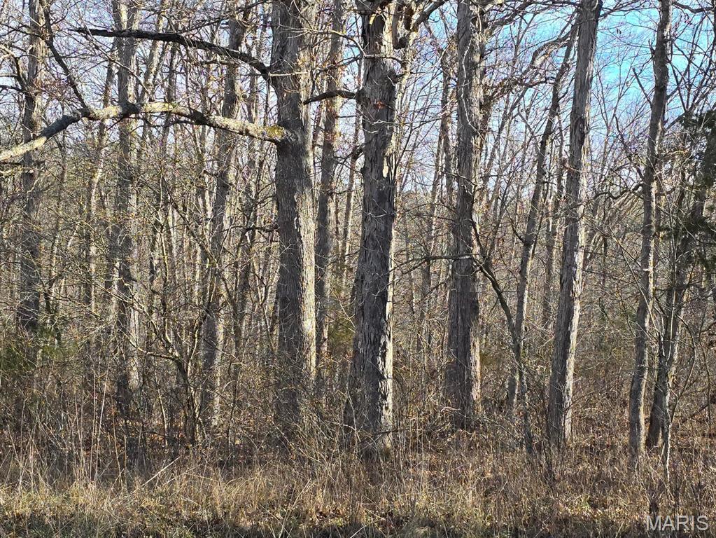 0 West Airport Road Houston, MO 65483 - Photo 15 of 29