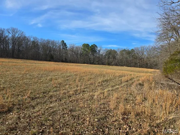 $599,900 | 0 West Airport Road, Houston, MO 65483