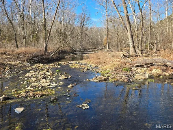 $599,900 | 0 West Airport Road, Houston, MO 65483