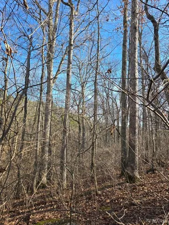 $599,900 | 0 West Airport Road, Houston, MO 65483