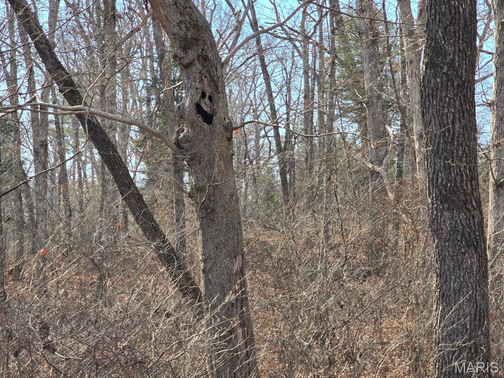 0 West Airport Road Houston, MO 65483 - Photo 19 of 29