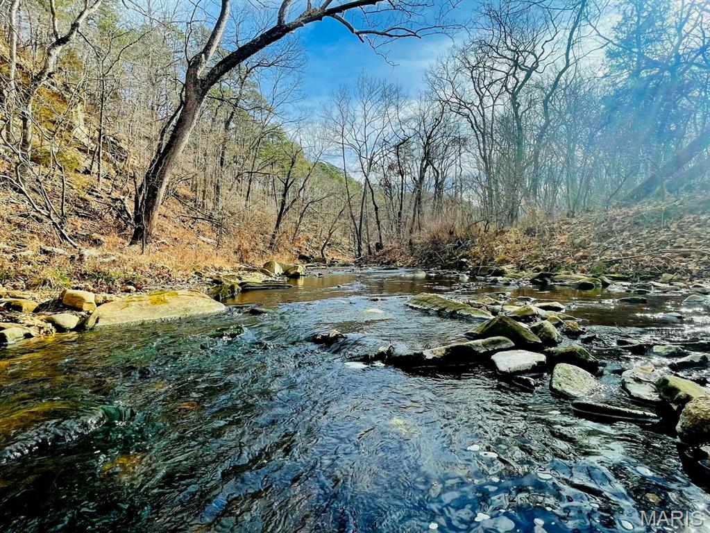 0 West Airport Road Houston, MO 65483 - Photo 2 of 29