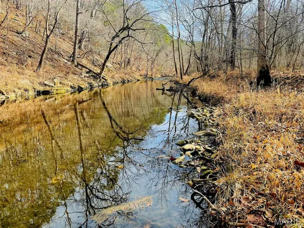 $599,900 | 0 West Airport Road, Houston, MO 65483