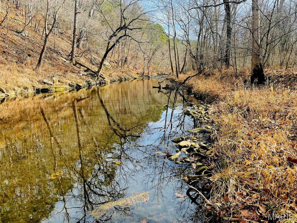 0 West Airport Road Houston, MO 65483 - Photo 21 of 29