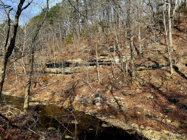 $599,900 | 0 West Airport Road, Houston, MO 65483