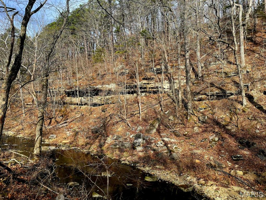 0 West Airport Road Houston, MO 65483 - Photo 22 of 29