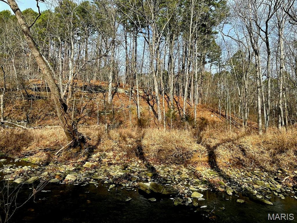 0 West Airport Road Houston, MO 65483 - Photo 23 of 29